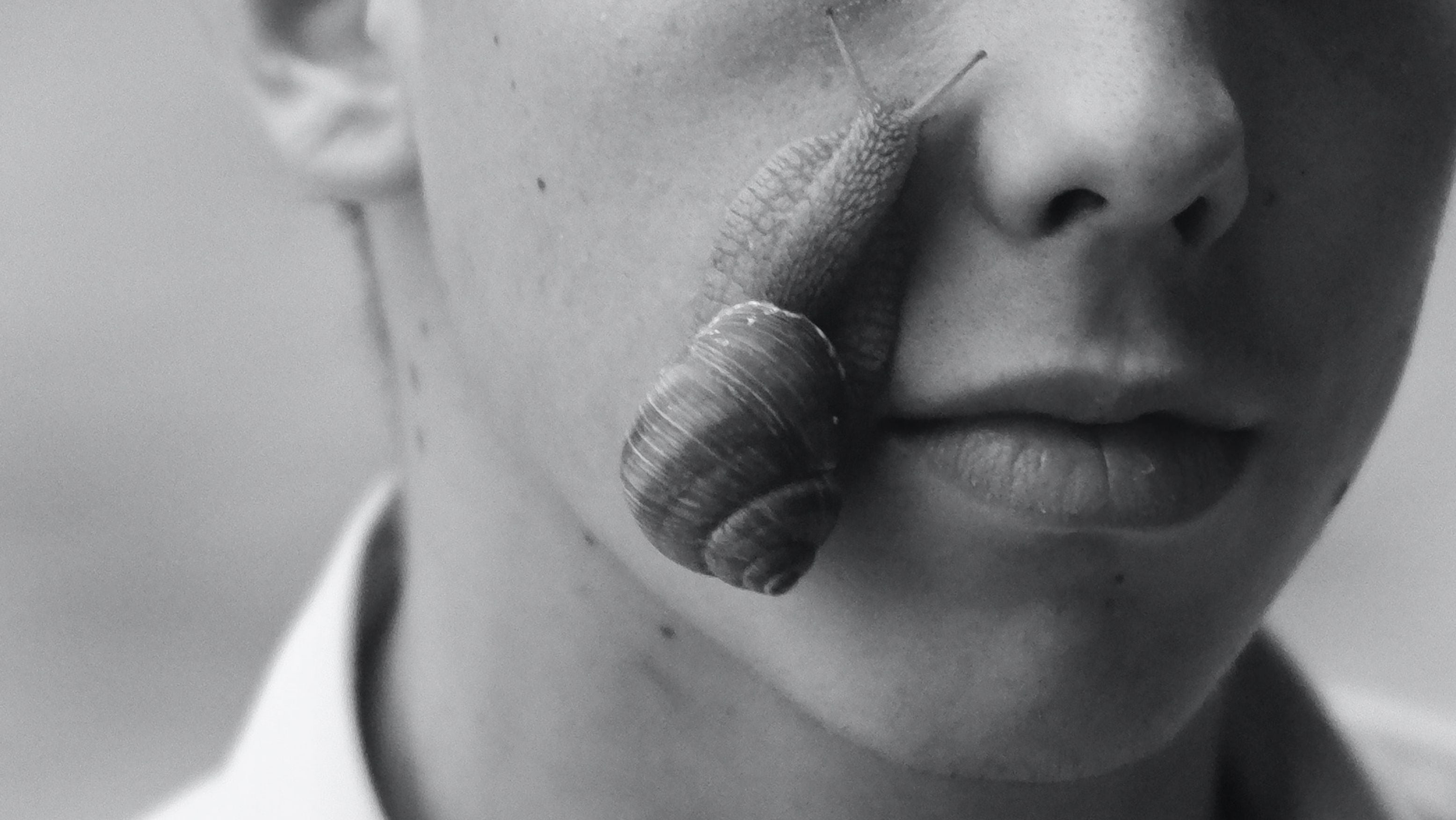 Snigel och hudvårdsprodukt – illustrerar kopplingen mellan snigelslem och moderna hudvårdstrender