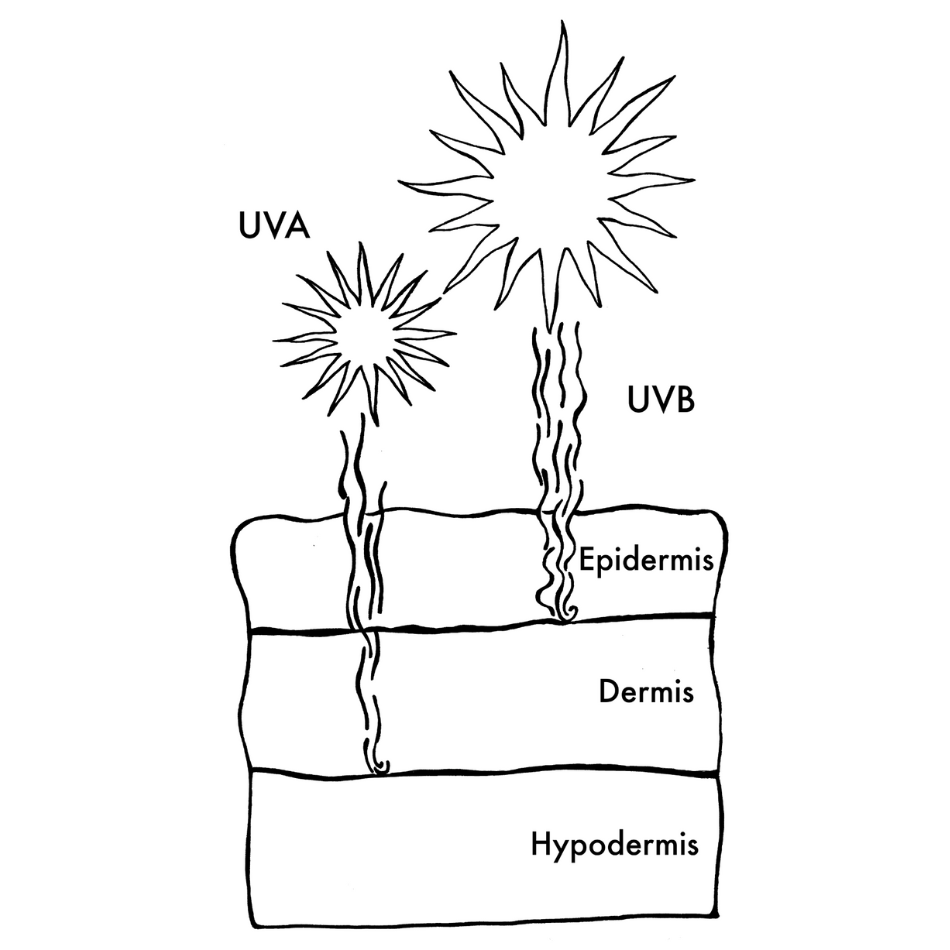 Skinome_solskydd_uva_uvb.png