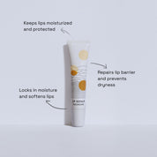 Lip Repair
