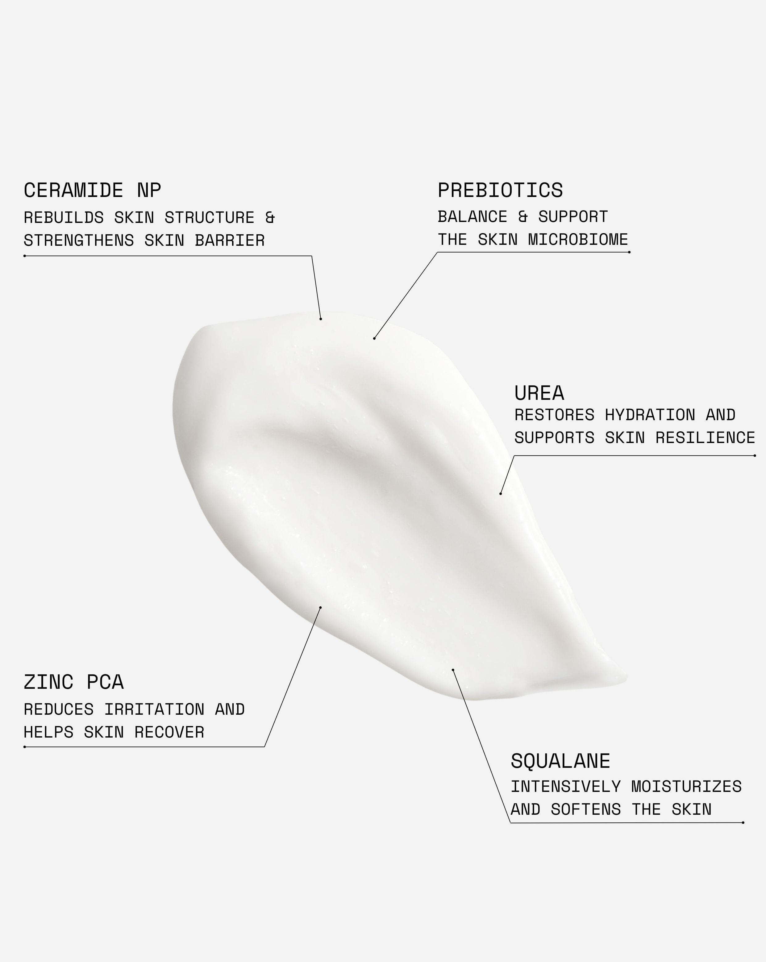 Rich Body Cream | Body cream | Skinome