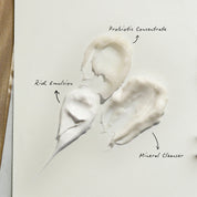 Microbiome Boost Trio